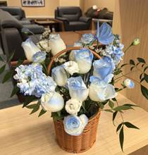 48af7409df4e499fc33cd739c849110